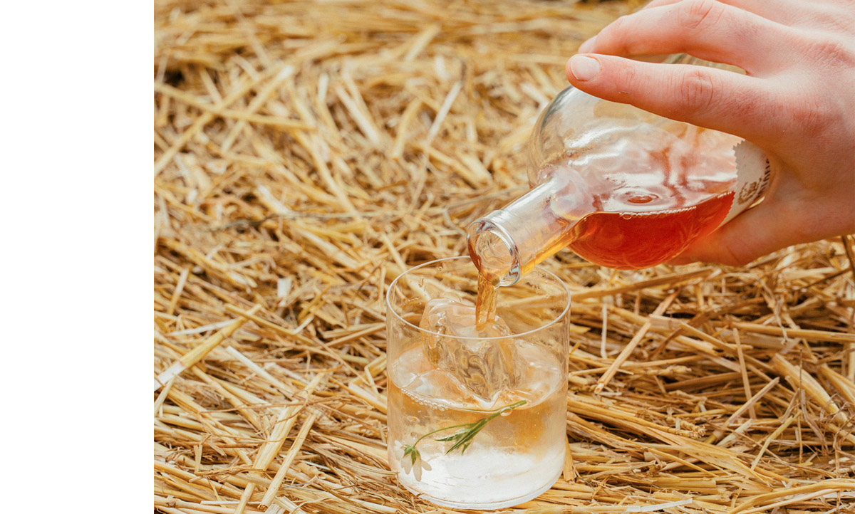 L'ECO-RESPONSABILITÉ DANS LE MONDE DU BAR